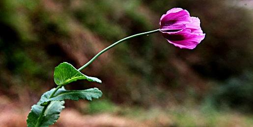 《三位一体5：发条阴谋》正式公布 2023年夏季发售